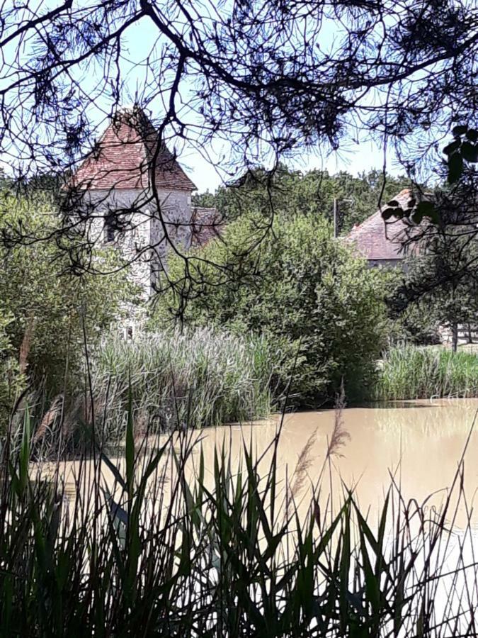 Hotel Le Manoir De Pierre Levee, The Originals Collection Tournon-Saint-Martin Zewnętrze zdjęcie